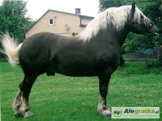 32410932110561493_N[1]