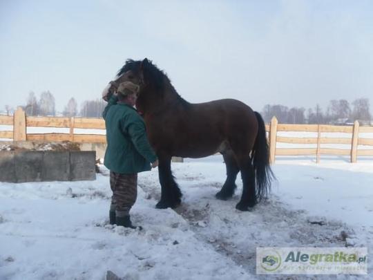 97871047811269129_N[1]