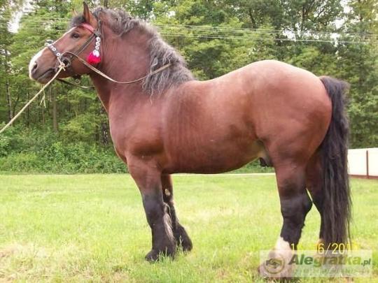 150192353511752309_N[1]