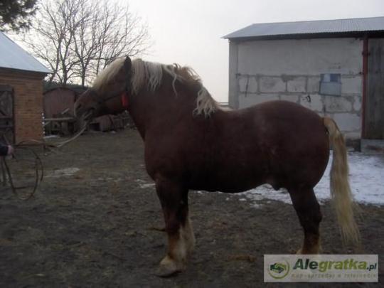 160515967811928583_N[1]