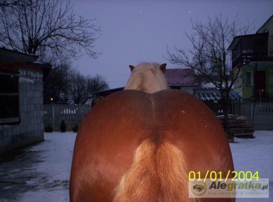 171471190411484119_N[1]