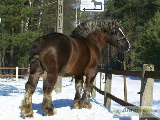 179565900011677441_N[1]