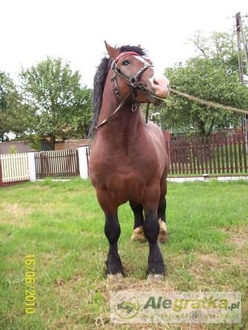 180251540311752309_N[1]