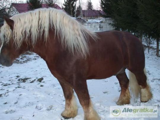 180695196711328821_N[1]