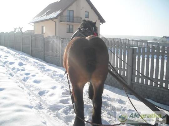 194971955711633539_N[1]