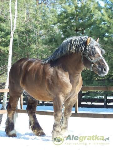 195670153611677441_N[1]