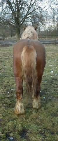 203579824811916265_N[1]