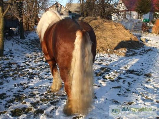 205370378411328821_N[1]