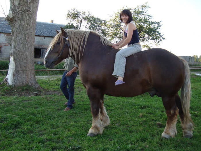 DSC00532_original[1]