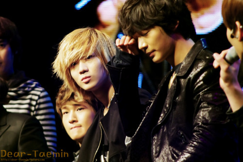 tumblr_lh8gsiop2N1qcl8qx - Lee Taemin