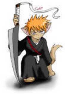 Ichigo22