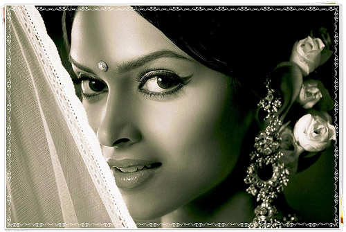 4328392012_dfa602f45a