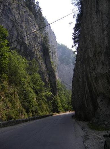 chile bicazului
