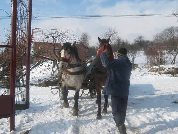 Picture 114 - caiii lu unkiu miti