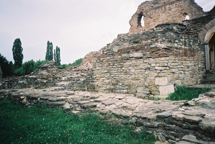 Ruinele Palatului lui Mircea cel Batran