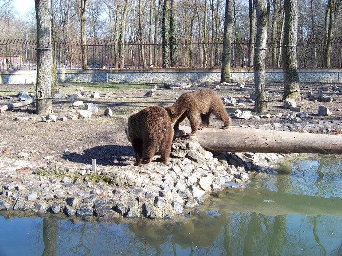 Unknown000078 - Ursi