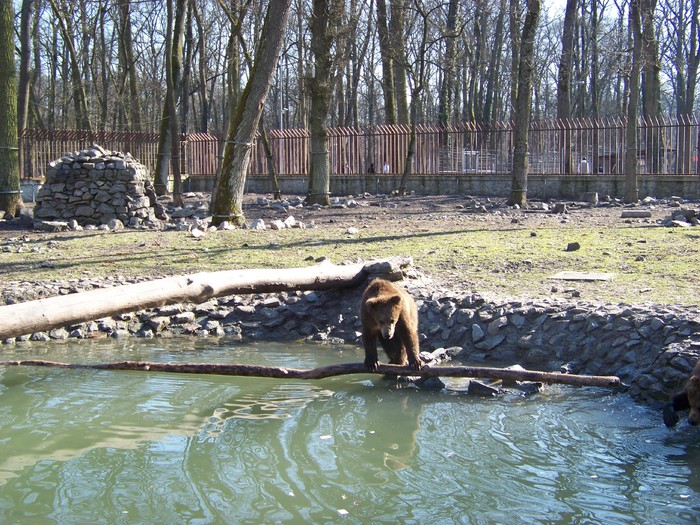 Unknown000079 - Ursi