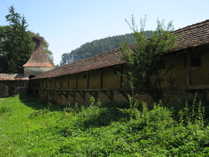 Archita - Arkeden
