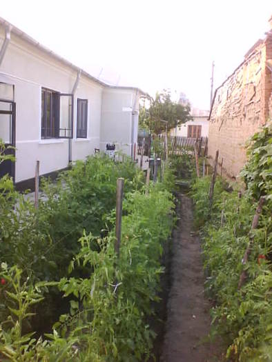 DSC05408
