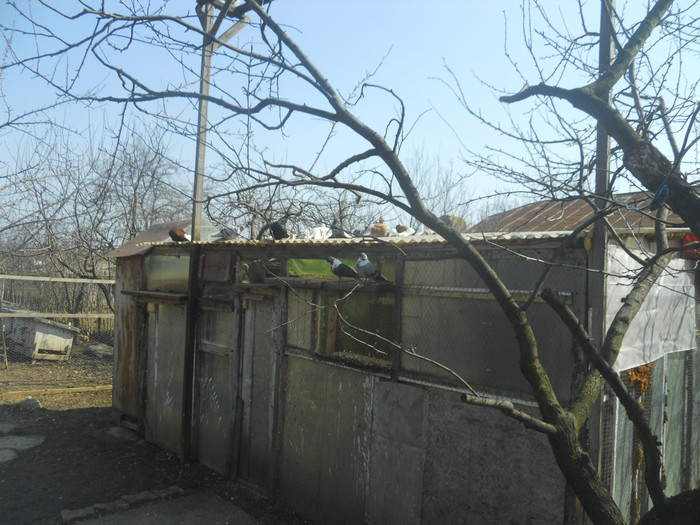 corespondenta 035 - 1804 Florin Manolache