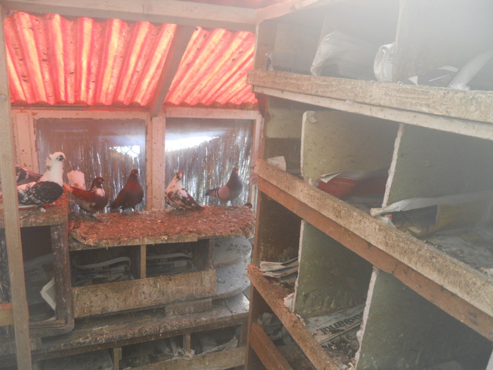 corespondenta 107 - 1804 Florin Manolache