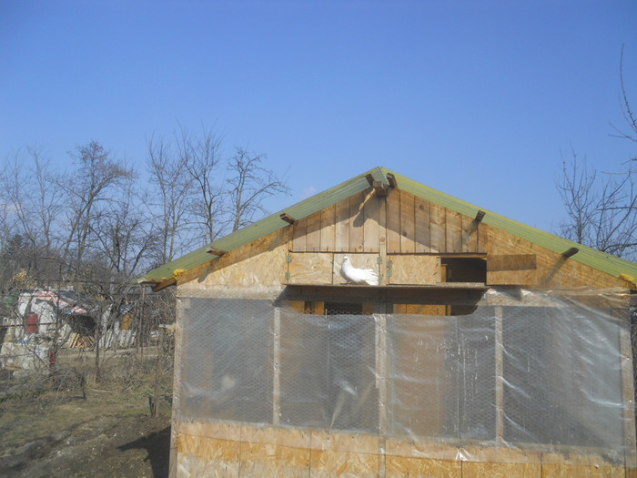 corespondenta 136 - 1804 Florin Manolache