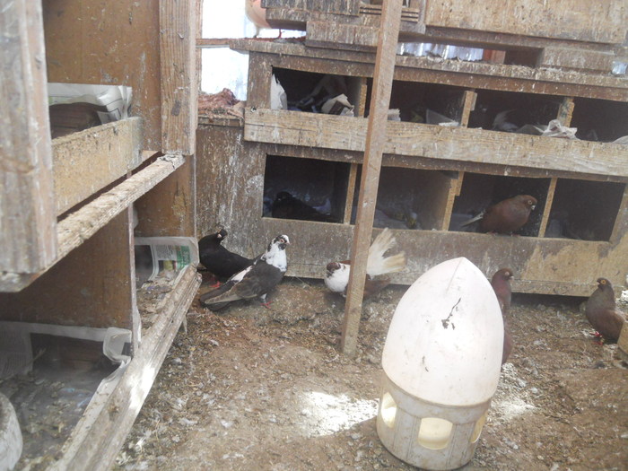 corespondenta 142 - 1804 Florin Manolache