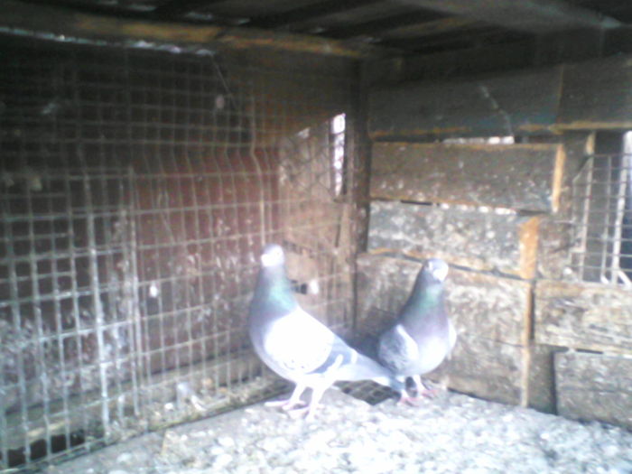 P14-03-11_07.36[1]