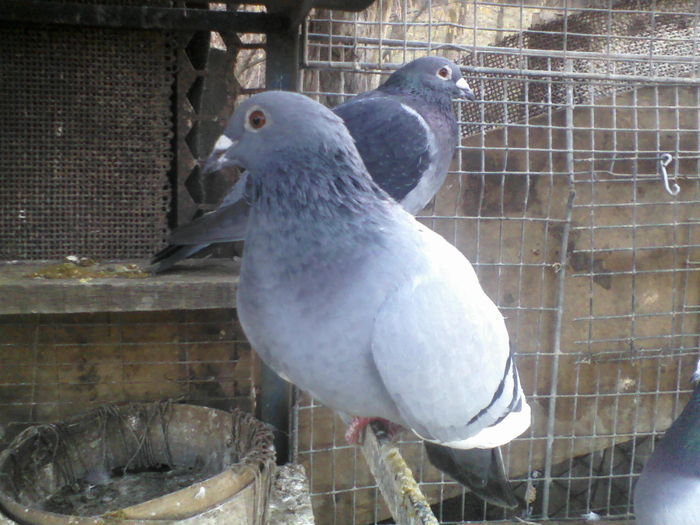 P14-03-11_07.37[2]