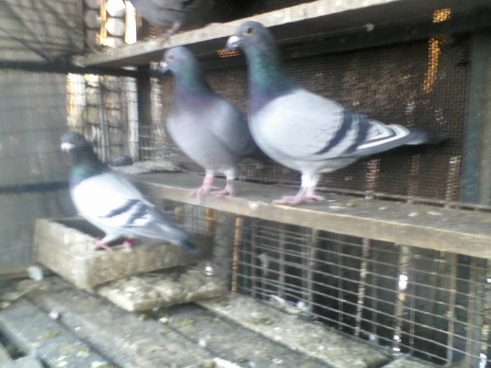 P14-03-11_07.39[3]