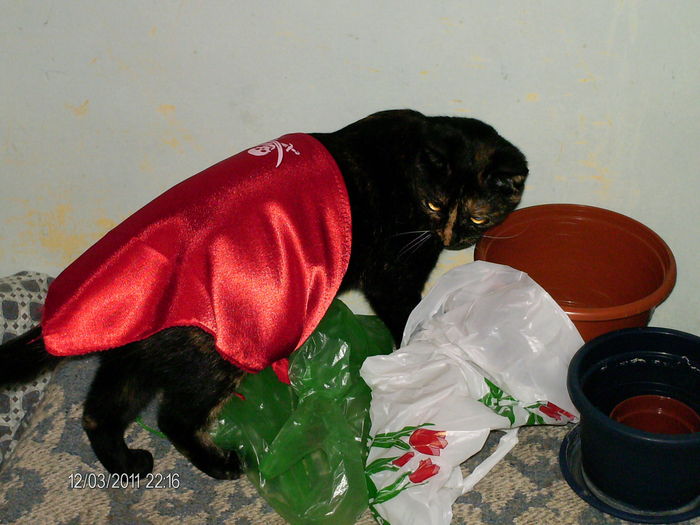 nu-mi place... - mita _2011