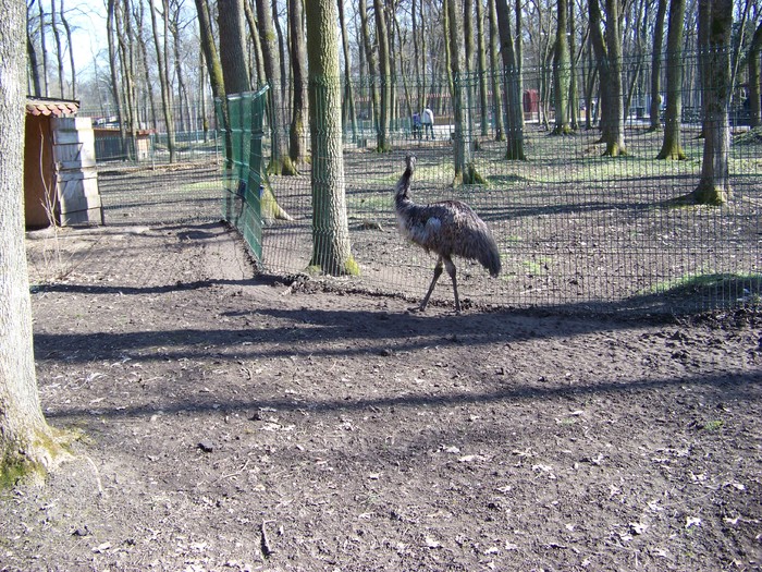 100_0106 - Zoo Timisoara