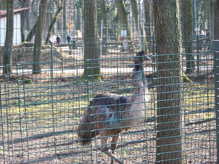 100_0107 - Zoo Timisoara