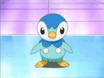 piplup baiat lvl 102 stie toate atacurile de tip apa si normale - Pokemoni lui Raichu