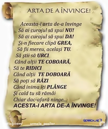 102525241_2900549_12272576