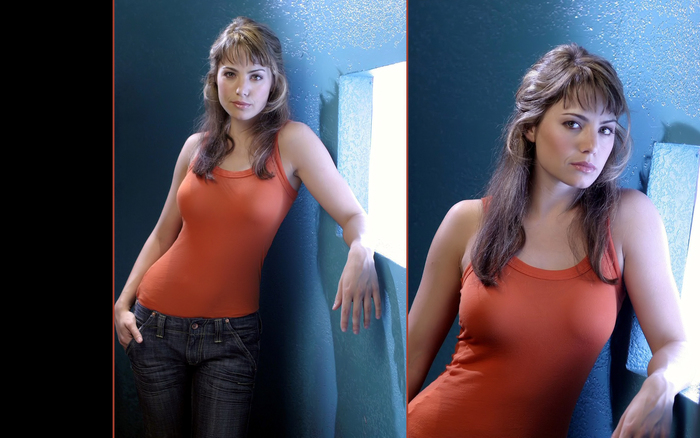Erica Durance (8) - Erica Durance