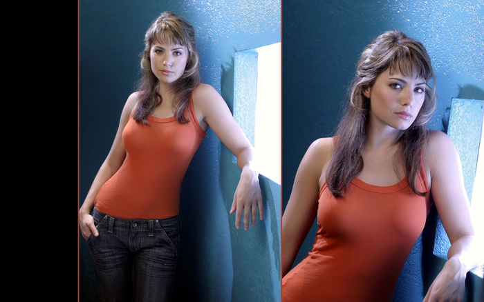 Erica Durance (8)