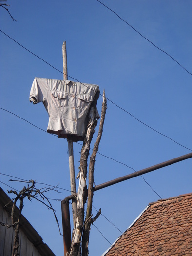 Semnalizare antiaeriana