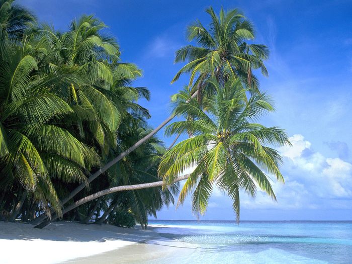 maldive - insule