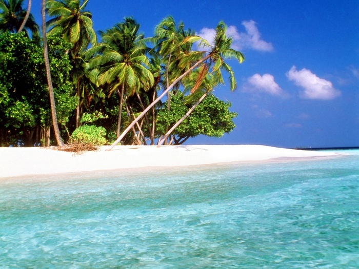 Trade Winds, Maldive Islands - insule