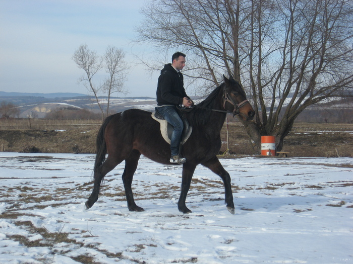 IMG_9448 - ECHITATIE 2011