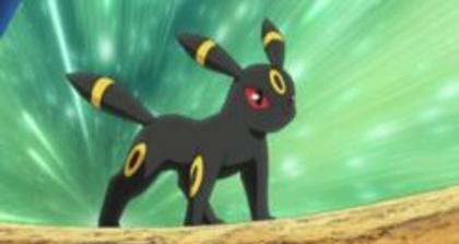 Umbreon:asa e!!!