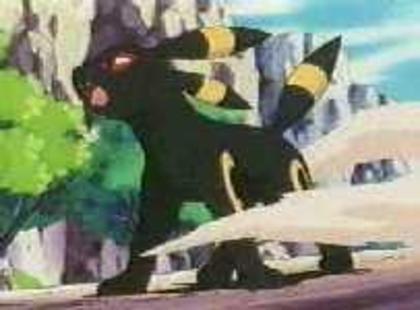 Umbreon:ah ha!