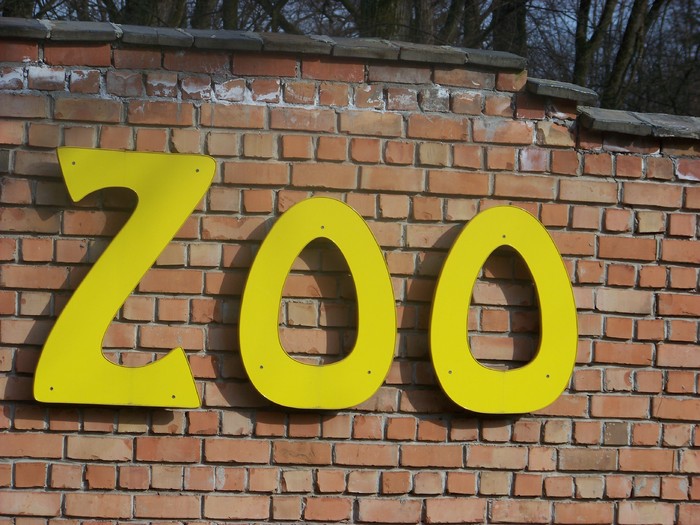 100_0787 - Zoo Timisoara