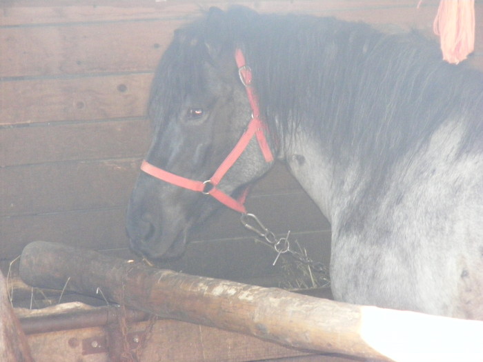 Picture 096