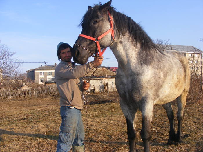 Exemplar Deosebit , blanda , docila