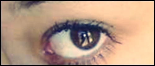 ( 0)P050311_12.180001