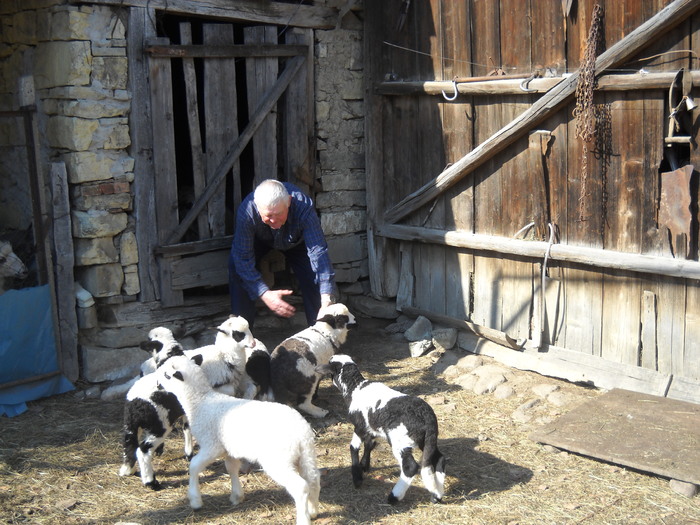 imi pare rau, dar pensia-i mica