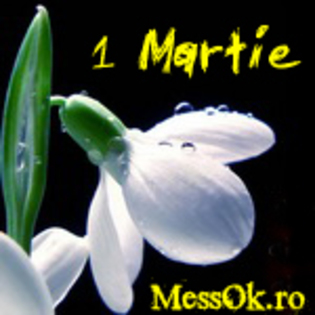 [www.messok.ro] Avatar 1 martie ghiocel