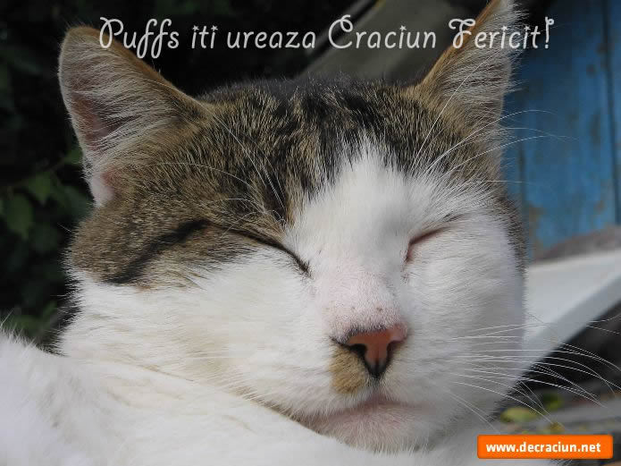 puffs-iti-ureaza-craciun-fericit